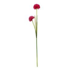 Uzun Saplı Pembe Kartopu Çiçeği
