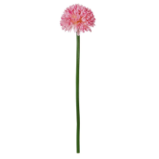 Uzun Saplı Açık Pembe Kadife Çiçeği